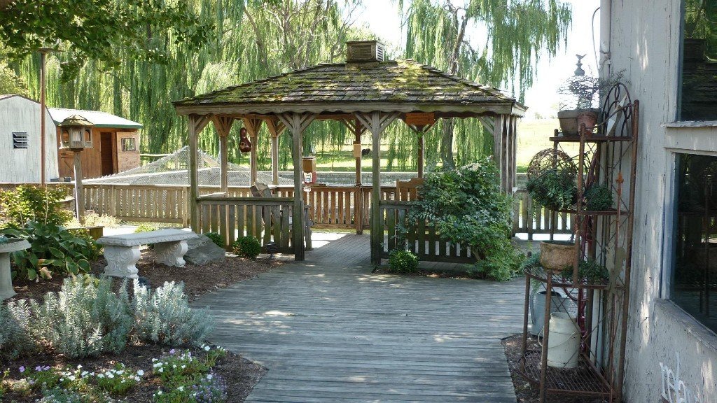 Terrasse et pergola en bois